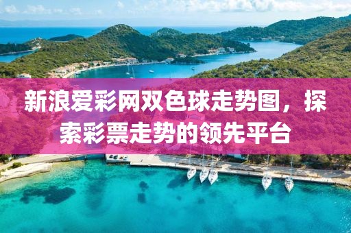 新浪爱彩网双色球走势图，探索彩票走势的领先平台