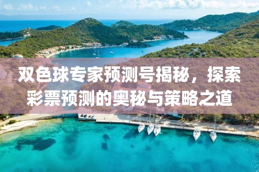 双色球专家预测号揭秘，探索彩票预测的奥秘与策略之道