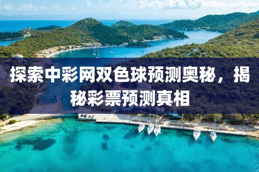 探索中彩网双色球预测奥秘，揭秘彩票预测真相