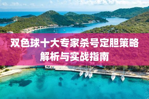 双色球十大专家杀号定胆策略解析与实战指南