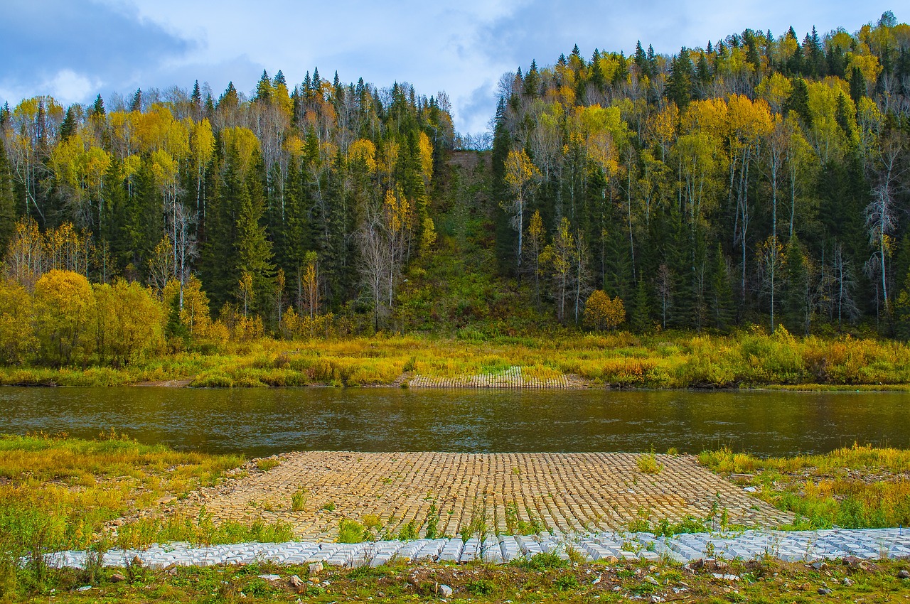 福建体育彩票与武夷山的独特情缘揭秘